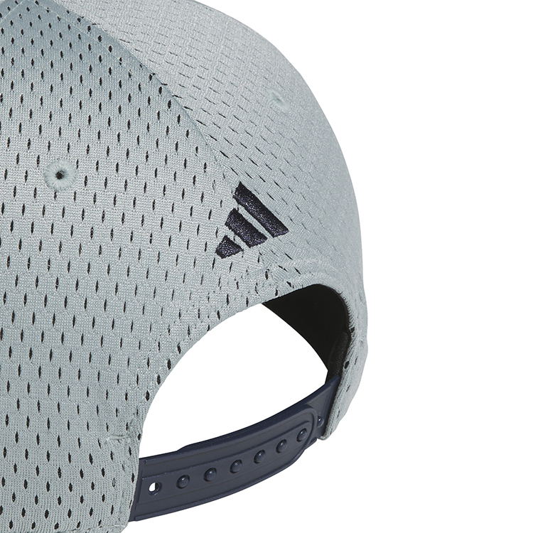 Wonder Sage (JZ2930)