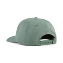 Eucalyptus (027161-03)