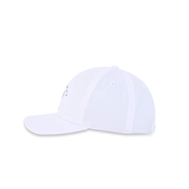 White (A00797_L0027)