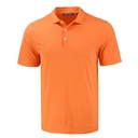 College Orange (MCK01327-CLO)