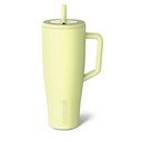 Prickly Pear (DWER40PPR)