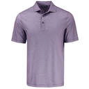 College (MCK01392-CLP)