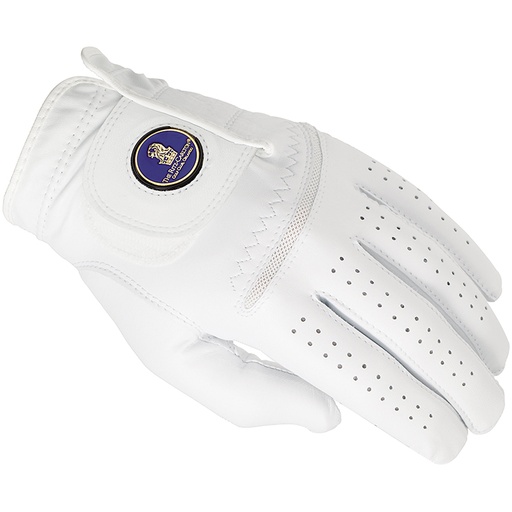 [6250EC] Titleist Q Mark Glove With Hand Painted Ball Marker