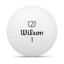 Wilson Triad*