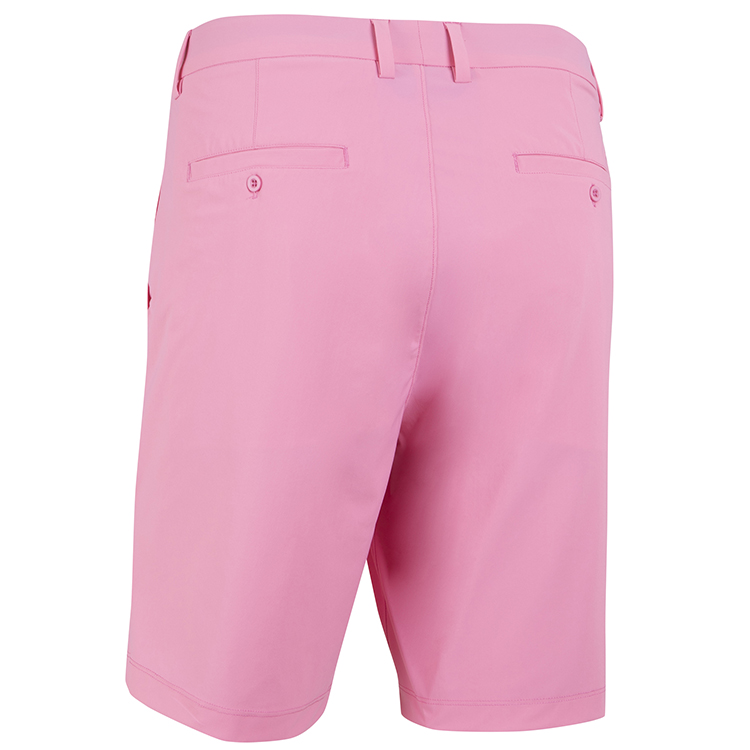 Carnation (BJ372625-685)