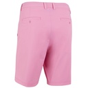 Carnation (BJ372625-685)