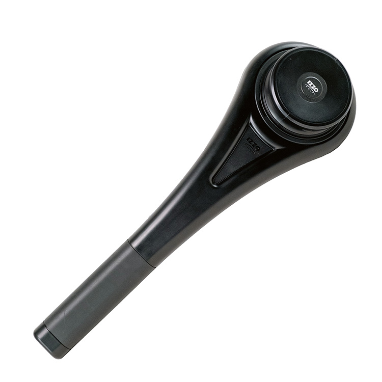 Inside View (A30461)