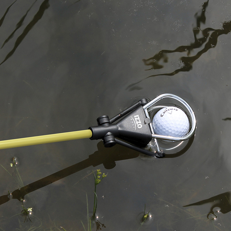 Izzo Golden Retriever*