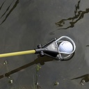 Izzo Golden Retriever*