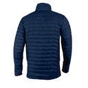 Collegiate Navy (C2605MO-464)