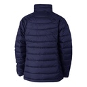 Collegiate Navy (C2530WO-464)