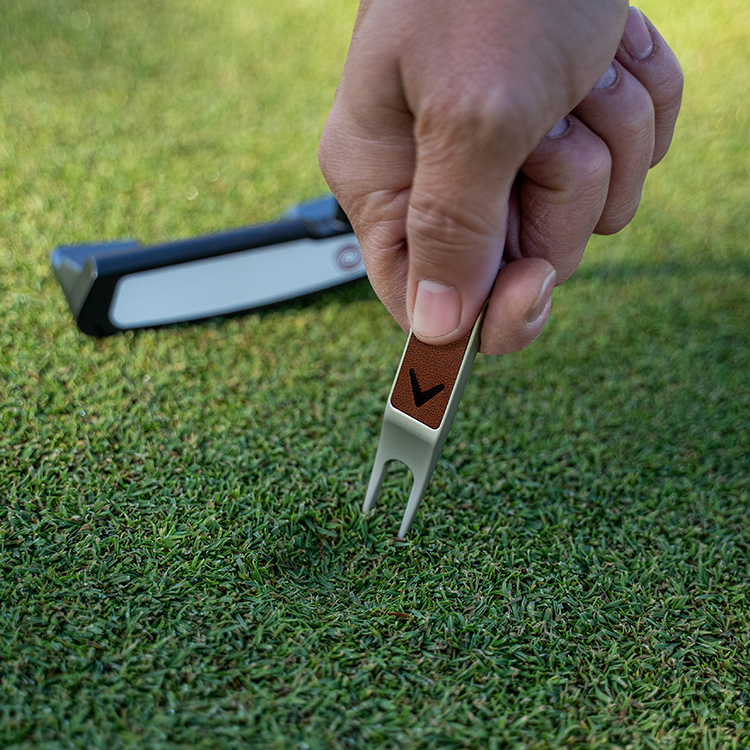 How To Use View (C91951)