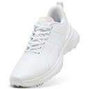 Puma White/Silver Mist (312995-01)