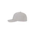 Silver (A00058_F0254)