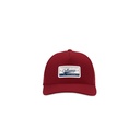 Cardinal (A00045_J0045)