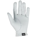 Titleist Q Mark Glove With Hand Painted Ball Marker