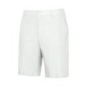 White (41173)