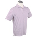 Fuchsia (BJ232637-665)