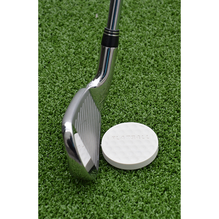 Izzo Flatball Swing Trainer*
