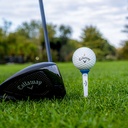 How To Use View (C23209)