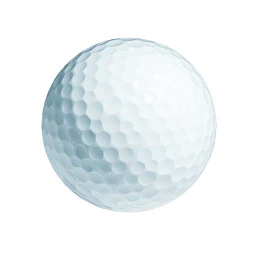 [GB-BULKGEN-DZ] Bulk Generic Golf Balls